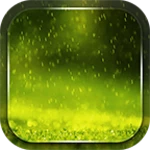 rain live wallpaper android application logo